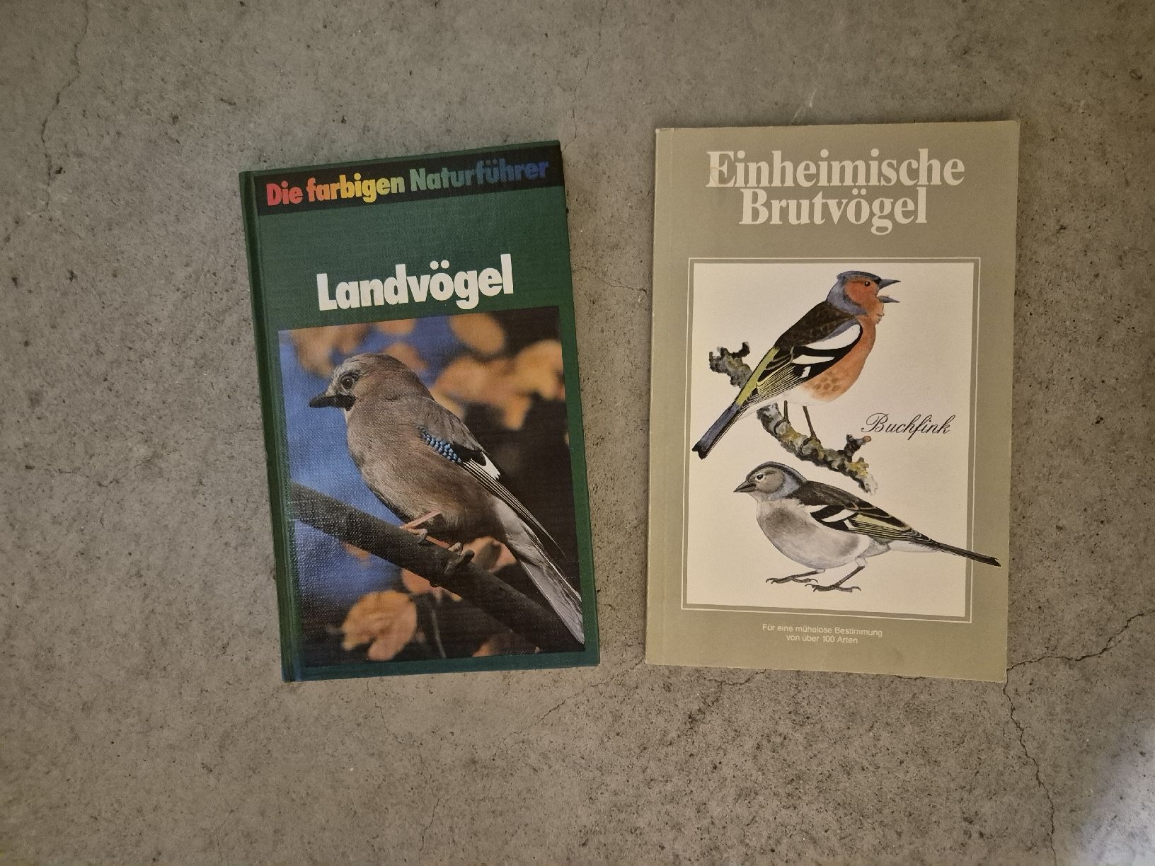 Libri: Vögelbücher – Usato da Münchenstein venduto da Exor78