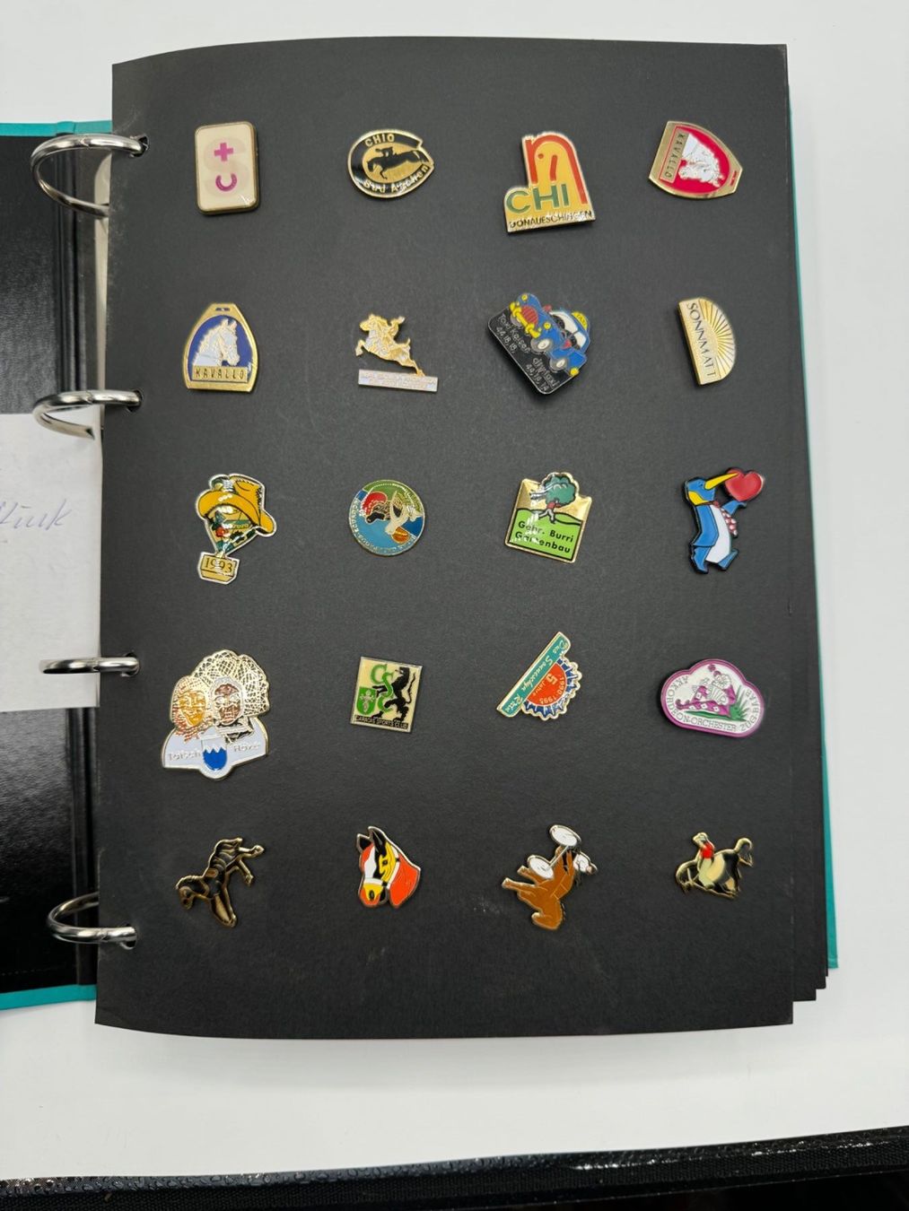 Albums: Pin Collection – D'occasion à Sachseln par BONATI01 1