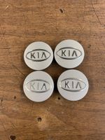 Raddeckel Kia