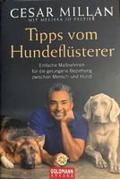 Cesar Millan, Tipps vom Hundeflüsterer