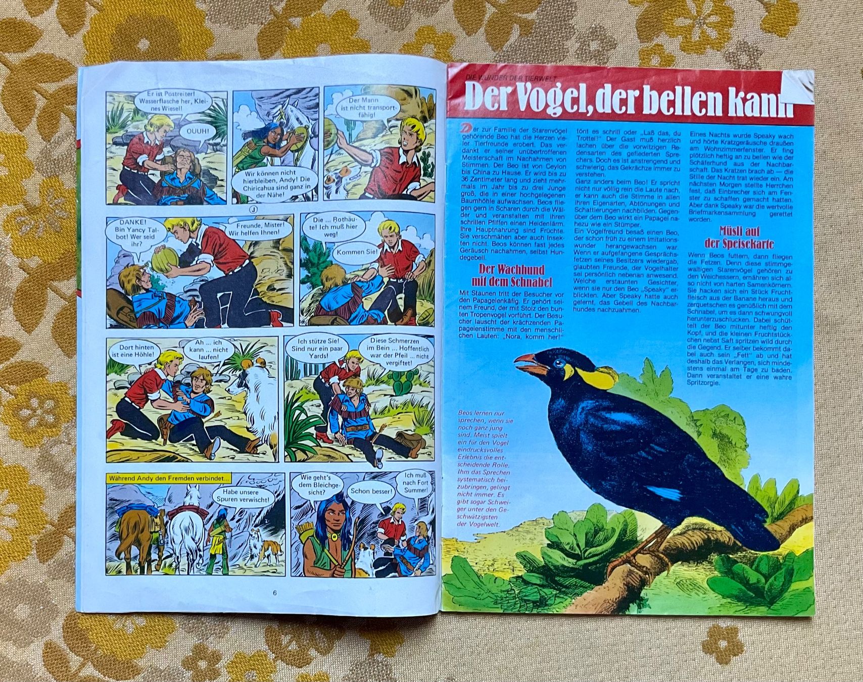 Fumetti: Bessy Heft Nr 900 von 1983 ? – Usato da Endingen venduto da nathan05 2