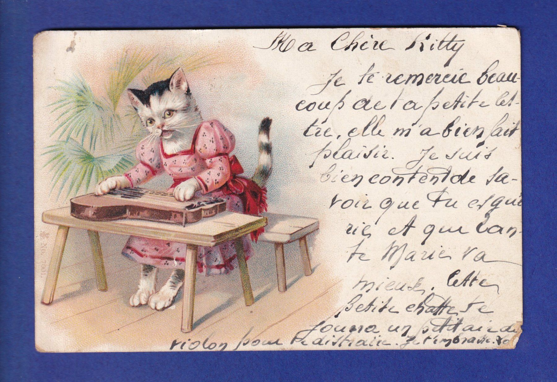 Ansichtskarten: CHAT - Chats humanisés – Gebraucht aus Pully von nicecards-shop