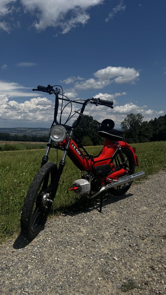Puch Ciclomotori: Puch Maxi S (mit ausweiss)  – Nuovo (secondo la descrizione) da Hagenbuch ZH venduto da GianLivio