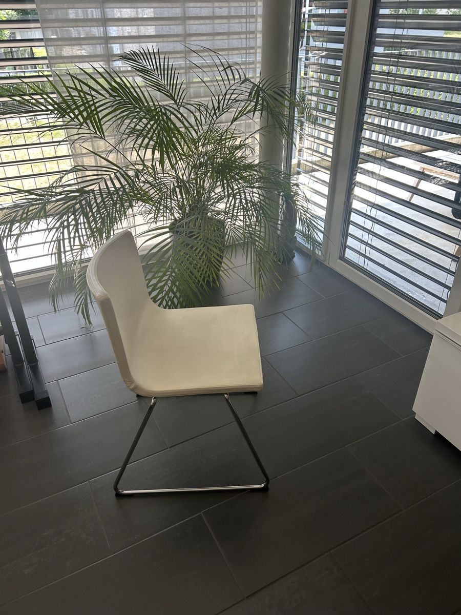 Stühle: Stuhl Creme Metallgestell modern gebraucht – Gebraucht aus Pfäffikon SZ von andi_dru 3
