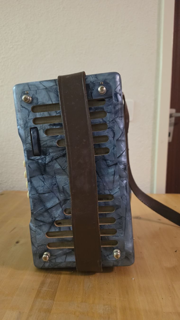 Hohner Strumenti musicali: Handharmonika Tell – Usato da Rheinfelden venduto da Ragg 5