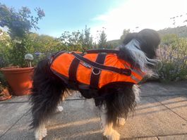 Schwimmweste Hund Non-stop dogwear 2.0 - Grösse M (5)