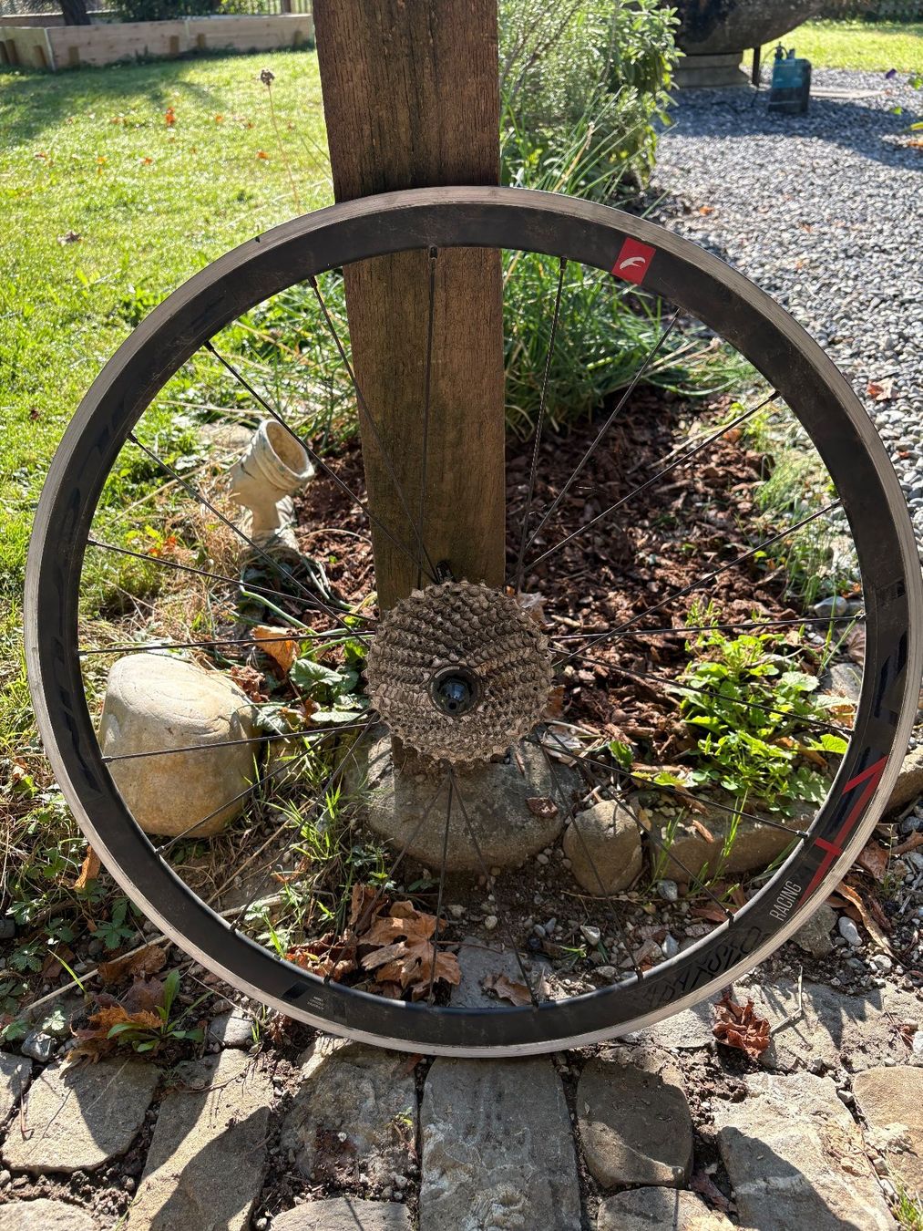 Fulcrum Ersatzteile: Fulcrum Racing 4 Hinterrad 28 – Gebraucht aus Wabern von lin_rnh2