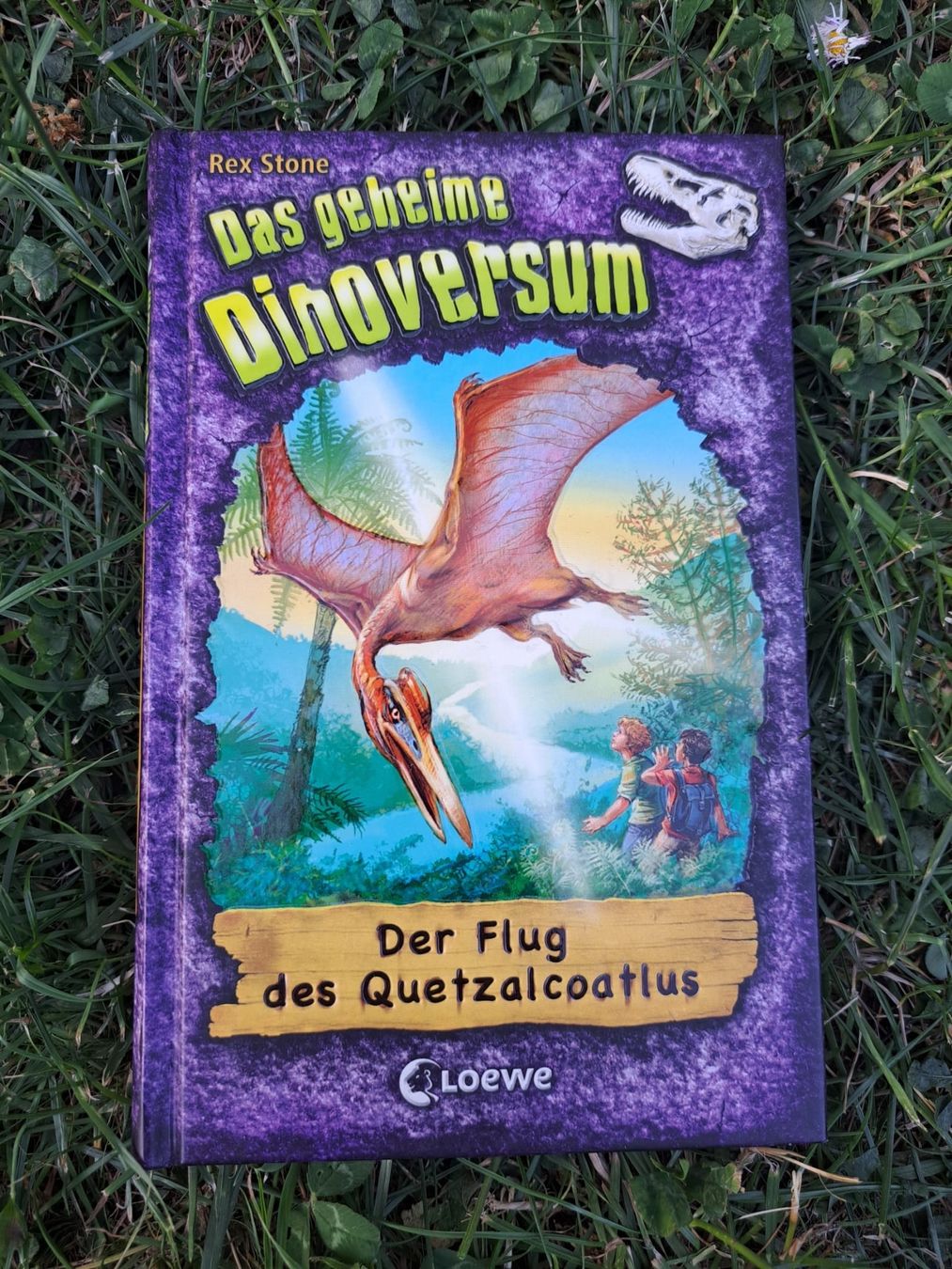 Libri: das geheime Dinoversum – Usato da Dachsen venduto da Mickymausi