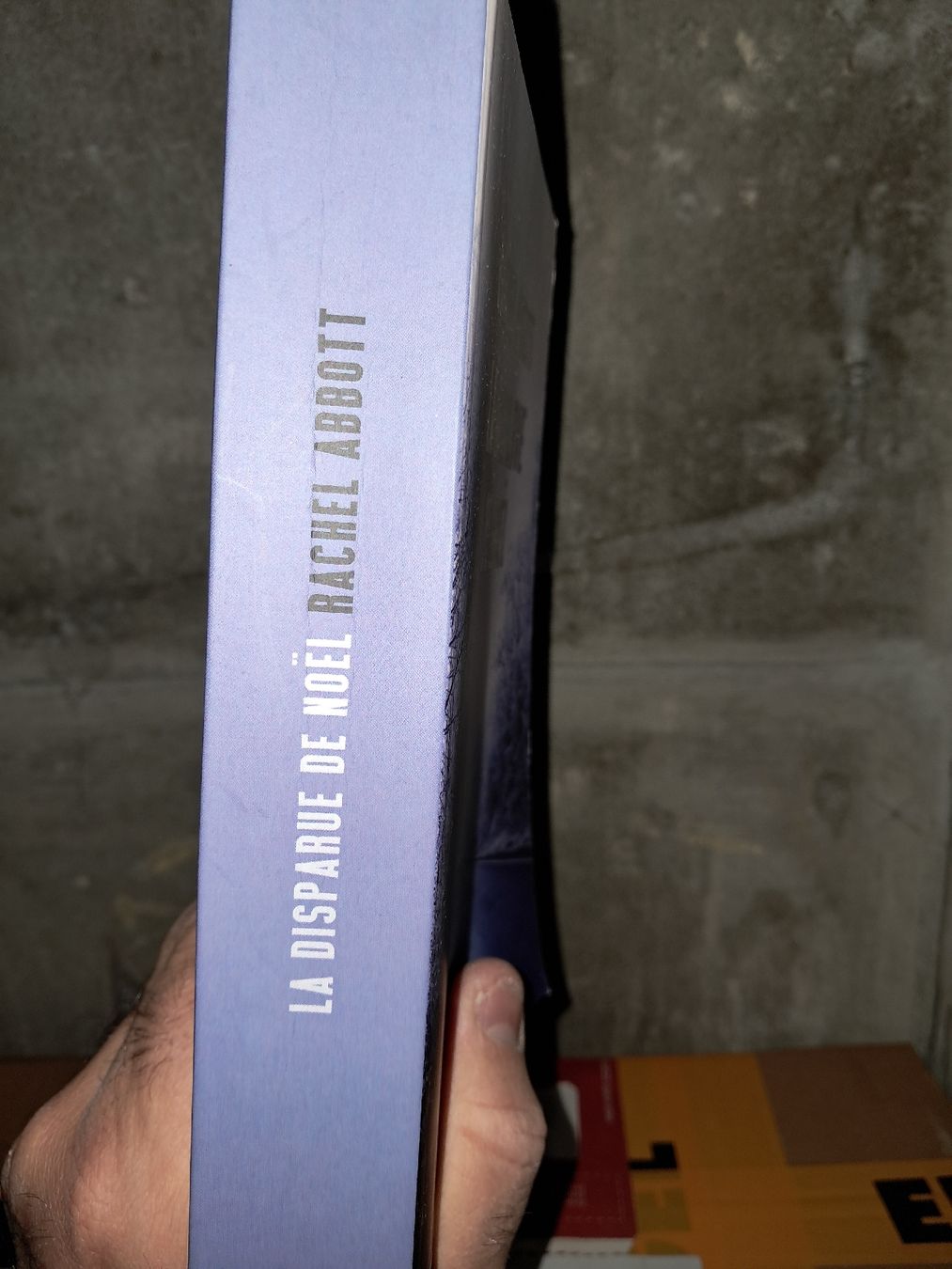 Libri: Rachel Abbott La disparue de noël – Usato da Le locle venduto da juliensaran 2