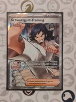 Pokémon Schwarzgurt-Training ASC 255 / 217 DE
