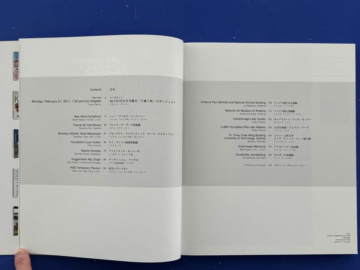Libri: Frank Gehry. Recent Project. Architektur – Usato da Adliswil venduto da buch_und_kunst 3
