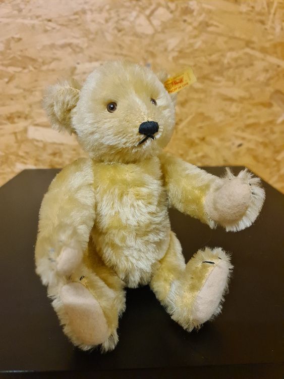 Steiff Jouets: Alte Steiff Teddy Bär – D'occasion à Ibach par Hfedier