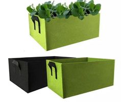 Neue Anlage Wachstum Tasche 1 Pcs.Hause Garten