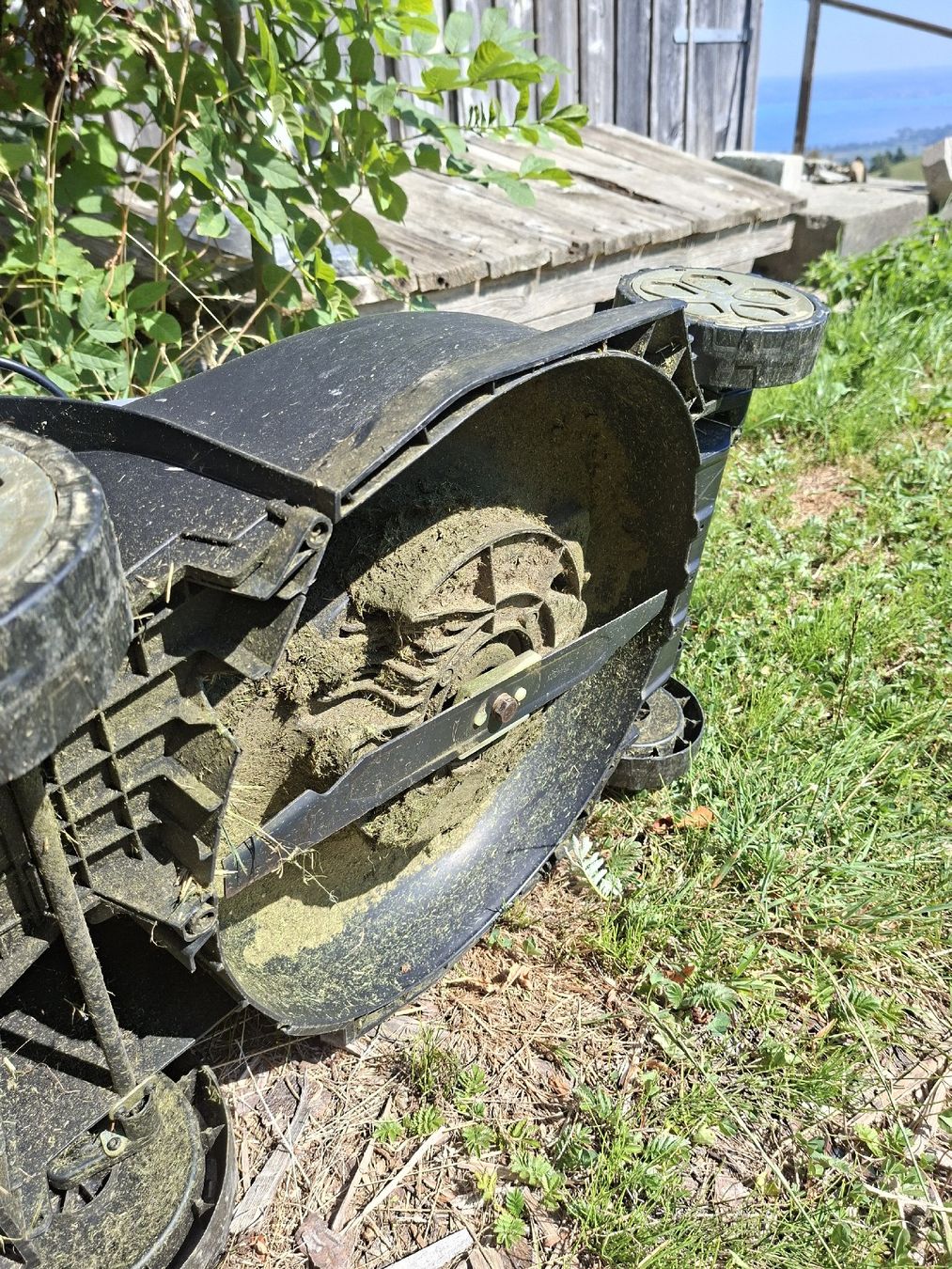 Tagliaerba: Rasenmäher – Usato da Wolfhalden venduto da goovy 3