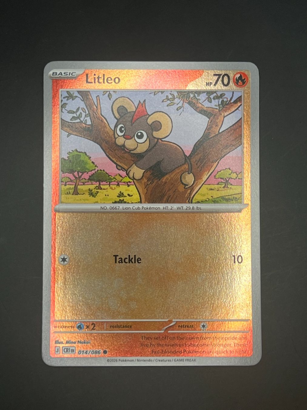 Pokémon Cartes à collectionner: Pokemon Litleo 014/086 Reverse CRI EN 2026 – D'occasion à Winterthur par WintiCollect