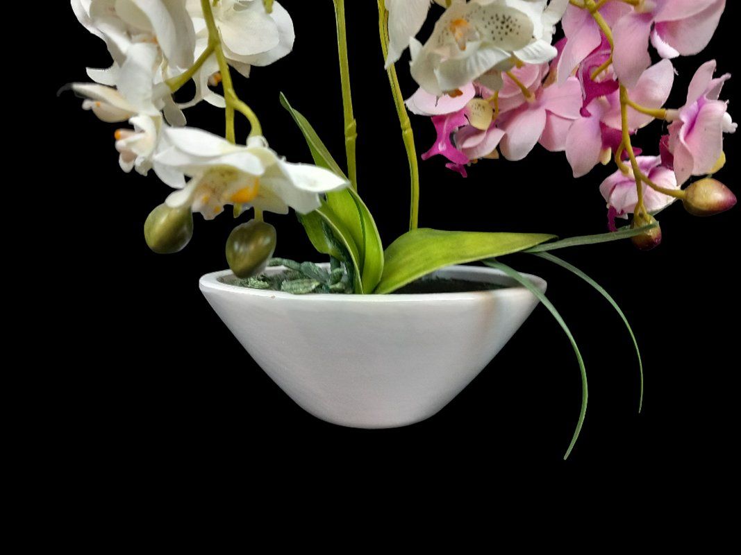 Tutte le decorazioni: Kunstpflanze Orchidee – Usato da Hünenberg venduto da Restwert_Zug 2