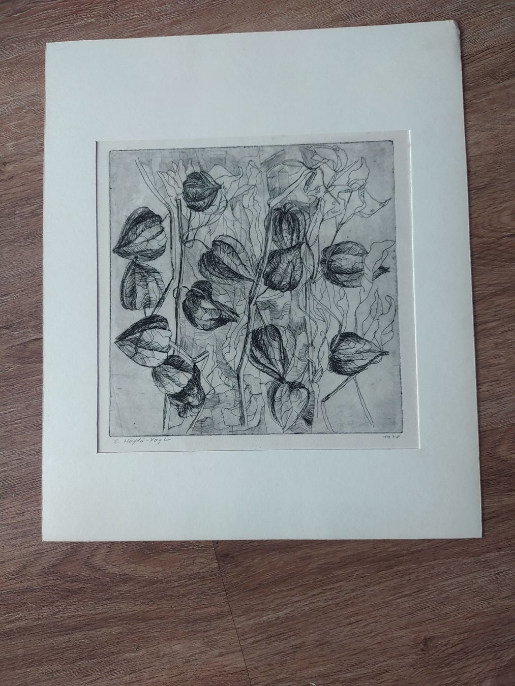 Carte collezionabili: Original Etching by E. Höyla-Vogt, Signed & Dated 1978 – Usato da Möhlin venduto da mik_h72m 3
