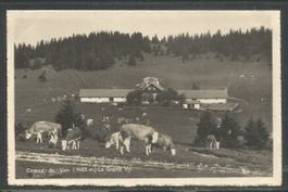 Carte P ( Creux-du-Van ,, 1465 m ,, La Grand Vy. )
