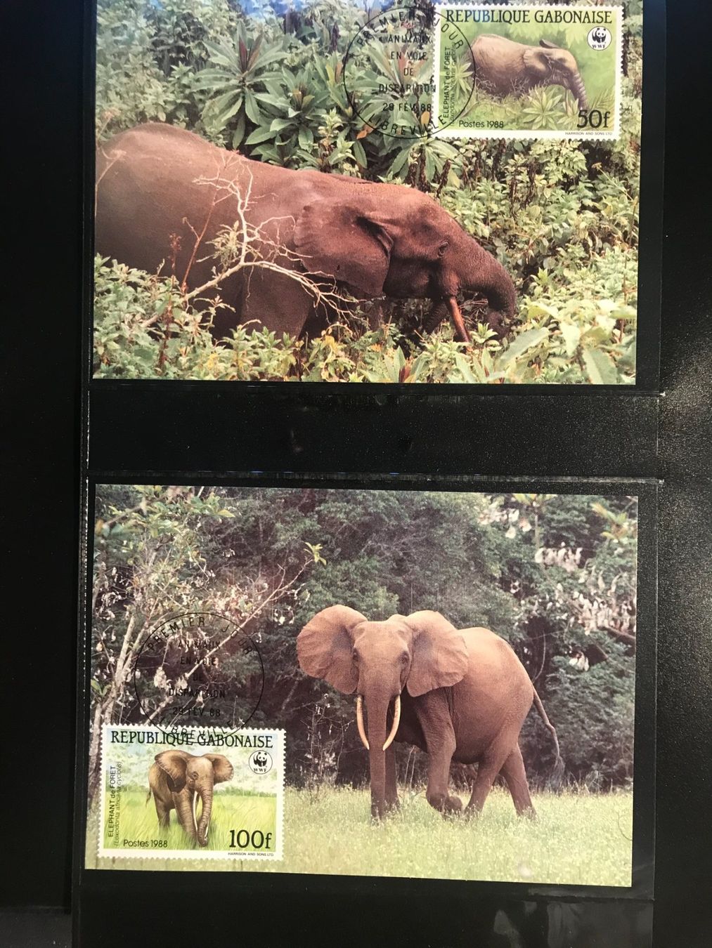 Tutti i francobolli: WWF Gabun 1988 Waldelefant Satz Maximumkarten – Nuovo (secondo la descrizione) da Liestal venduto da schnueps 1