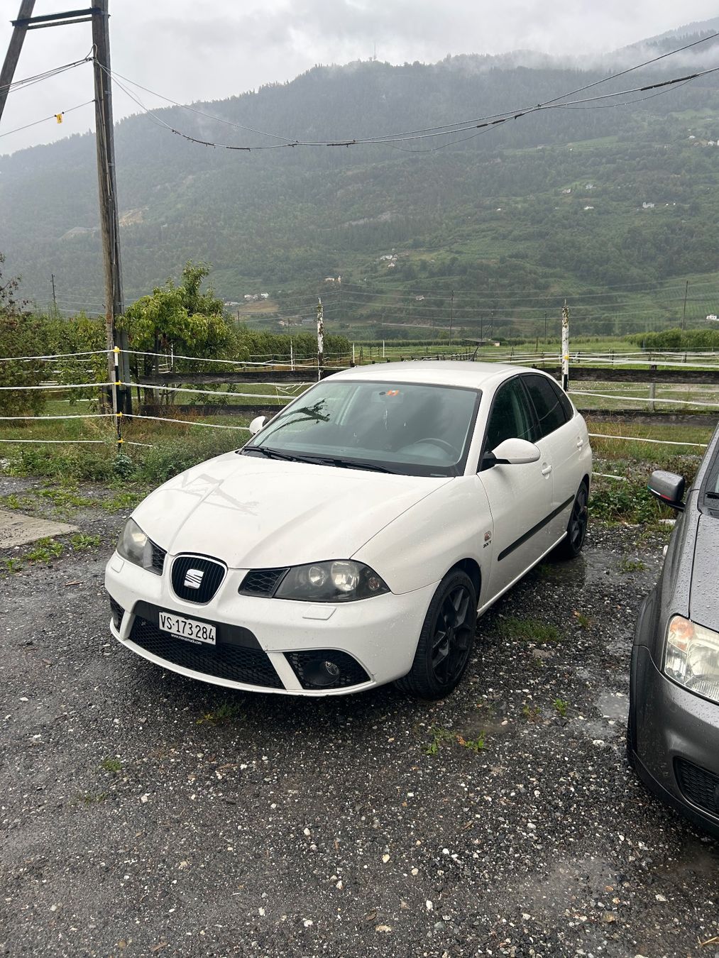 Seat Automobili: Seat Ibiza Fr – Usato da Daillon venduto da pen_cn58