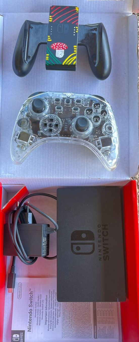 Nintendo Console: Nitendo Switch – Usato da Movelier venduto da Giansam 2