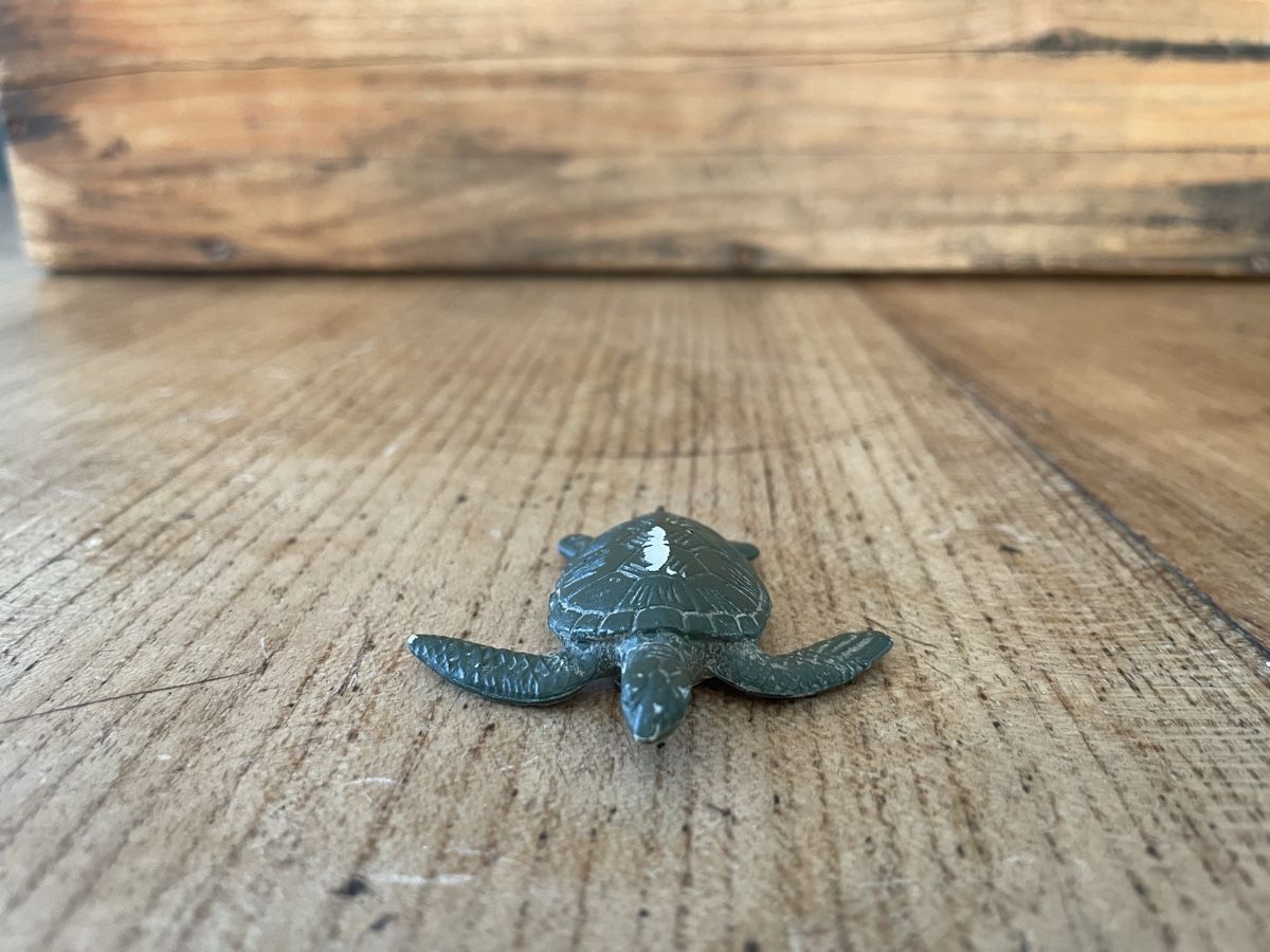 Schleich Giocattoli: Schleich Wasser Schildkröte  – Usato da Bonstetten venduto da soleillle 1