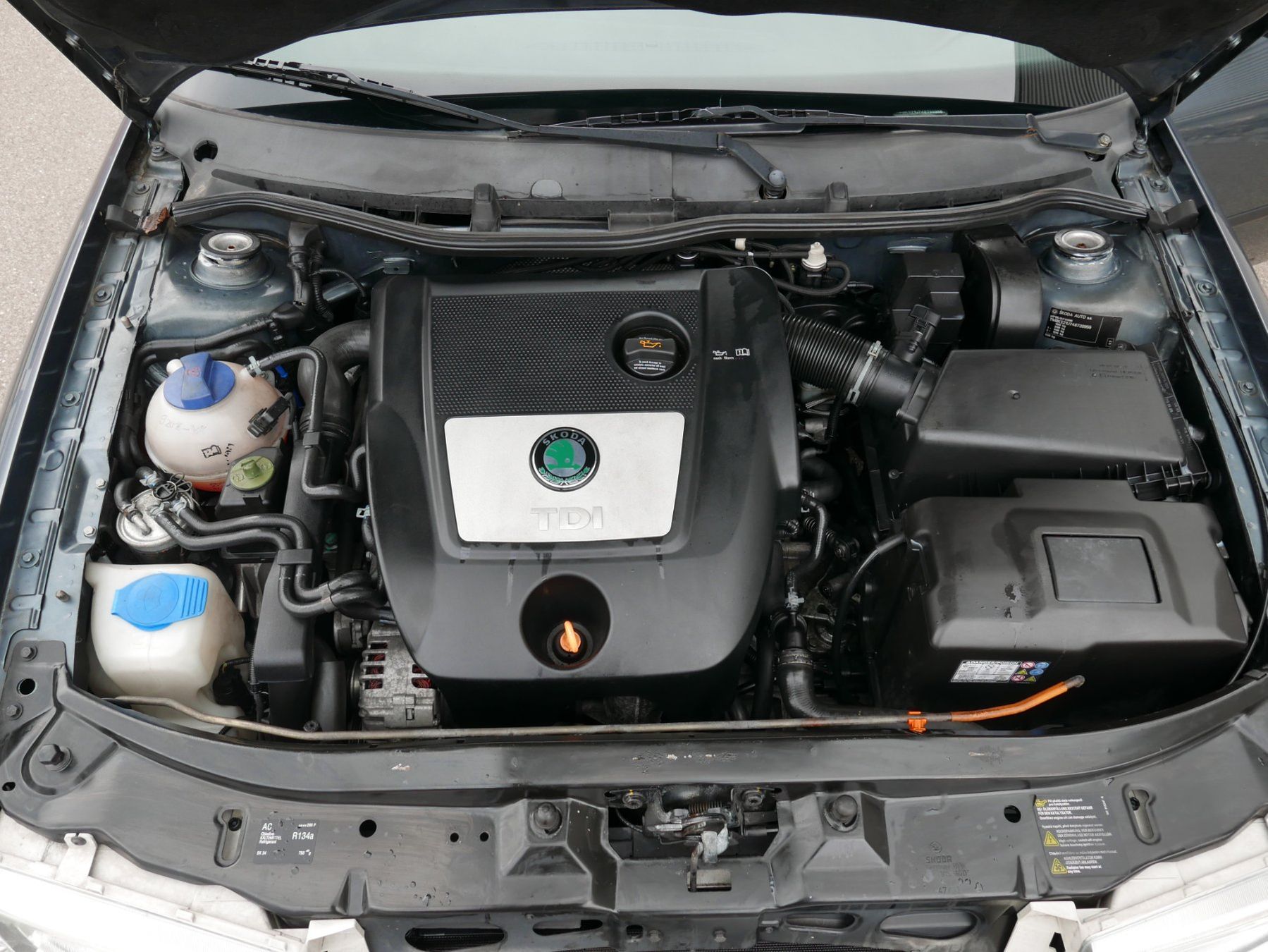 Skoda Autos: Skoda Octavia 1.9 TDI 4x4 – Defekt aus Lütisburg Station von maegi91 7