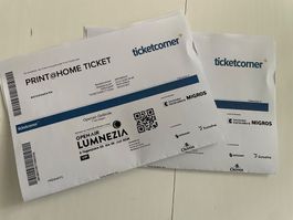 VIP 3-Tagespass Lumnezia