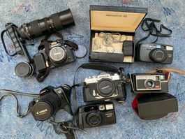 📷 GROSSE Analog-Kamera-Sammlung 12-teilig | Privatbesitz
