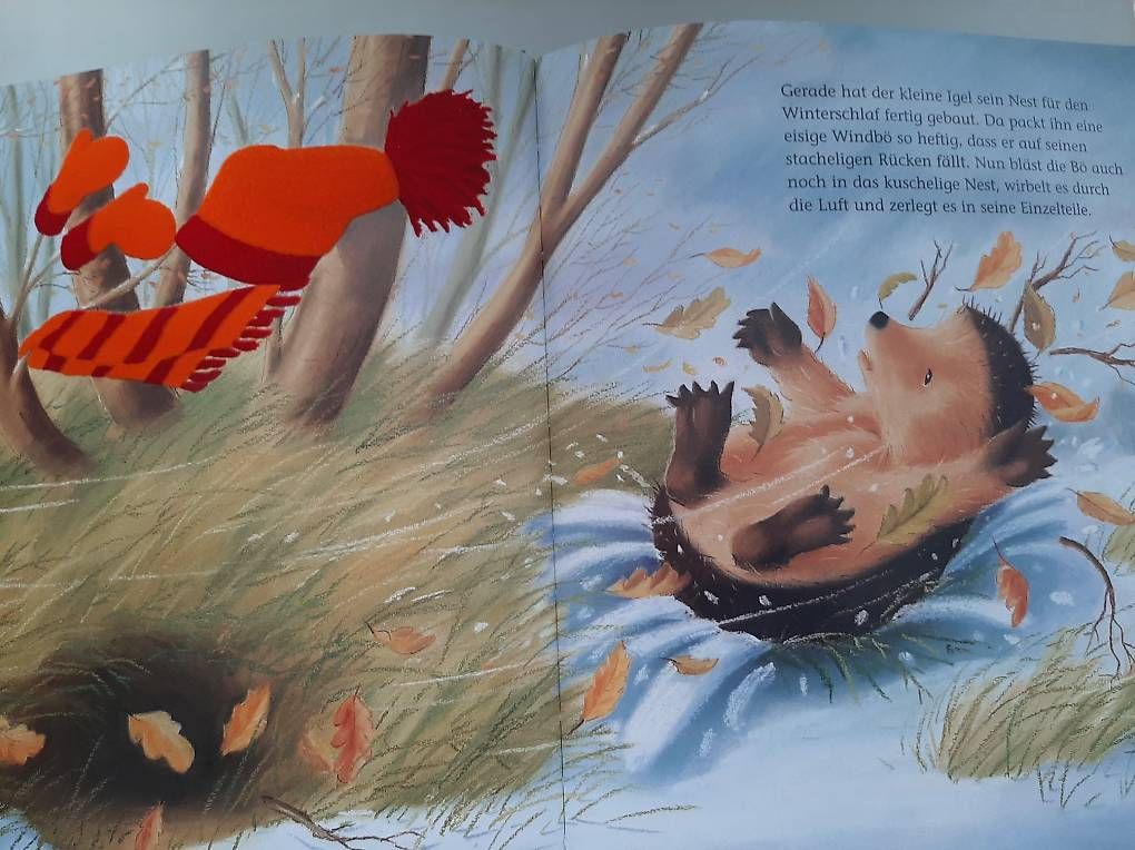 Bücher: Kinderbuch "Der kleine Igel und das grosse Geschenk", ab 3 J – Gebraucht aus Basel von Renato_hirzi 3