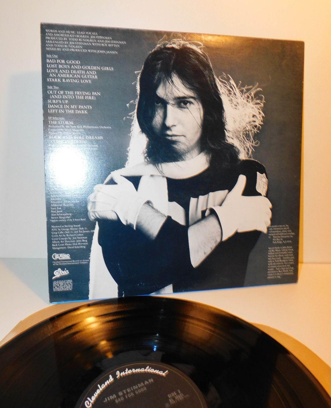 Dischi in vinile: Lp Jim Steinman - 1981 Schallplatte – Usato da Sursee venduto da 76 2
