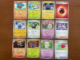 Pokemon 12er Karten Set (Versand gratis)