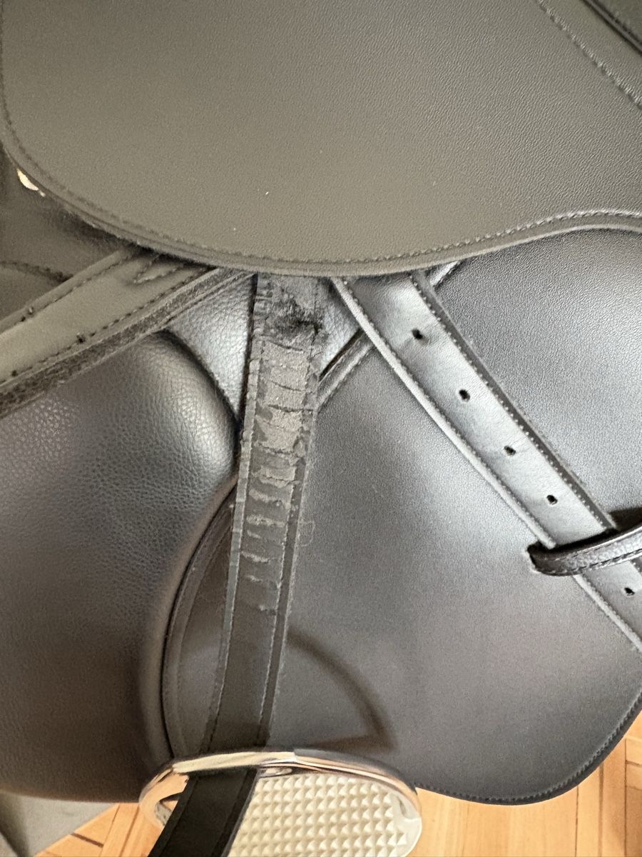 Selle & Accessori: Star Sattel mit Zubehör – Usato da Weesen venduto da D0101D 4