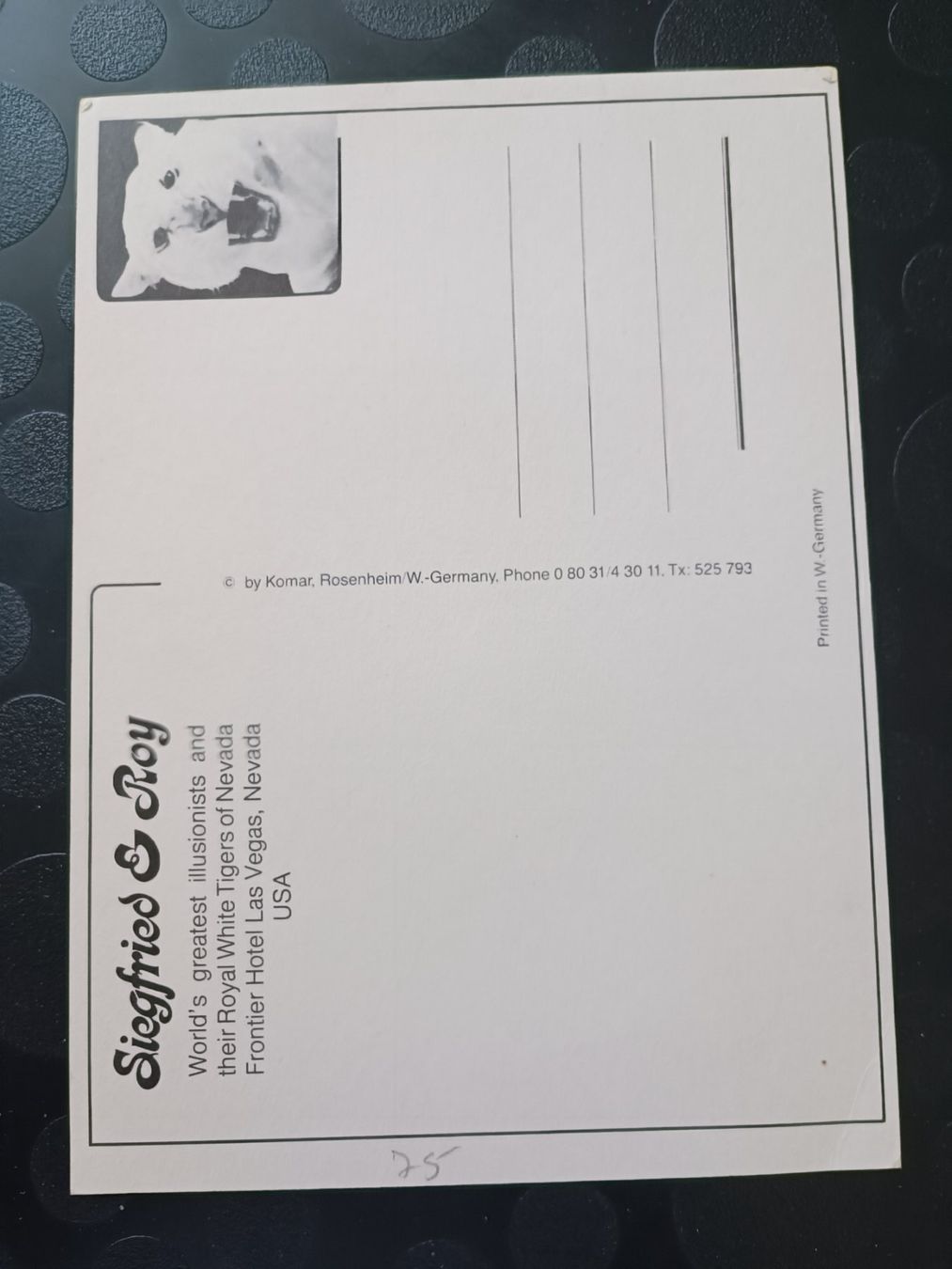 Autogramme: Siegfried & Roy - handsigniert - A5 Autogrammkarte – Gebraucht aus Menziken von Artographs 1