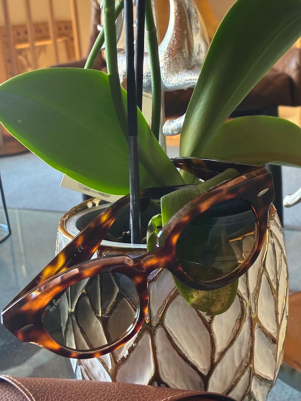 Ray-Ban Occhiali & Lenti: RAY BAN – Nuovo (secondo la descrizione) da Rümlang venduto da har_z6qv 4