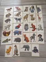 Die kleinen Tiere, Karten für die kleinsten
