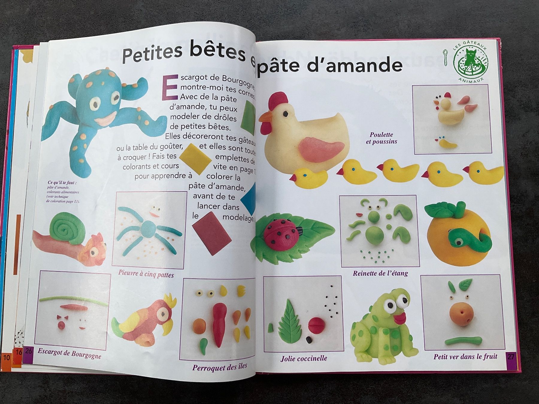 Libri: Livre de recettes "Les gâteaux rigolos" – Usato da Avenches venduto da Lactobacille 4