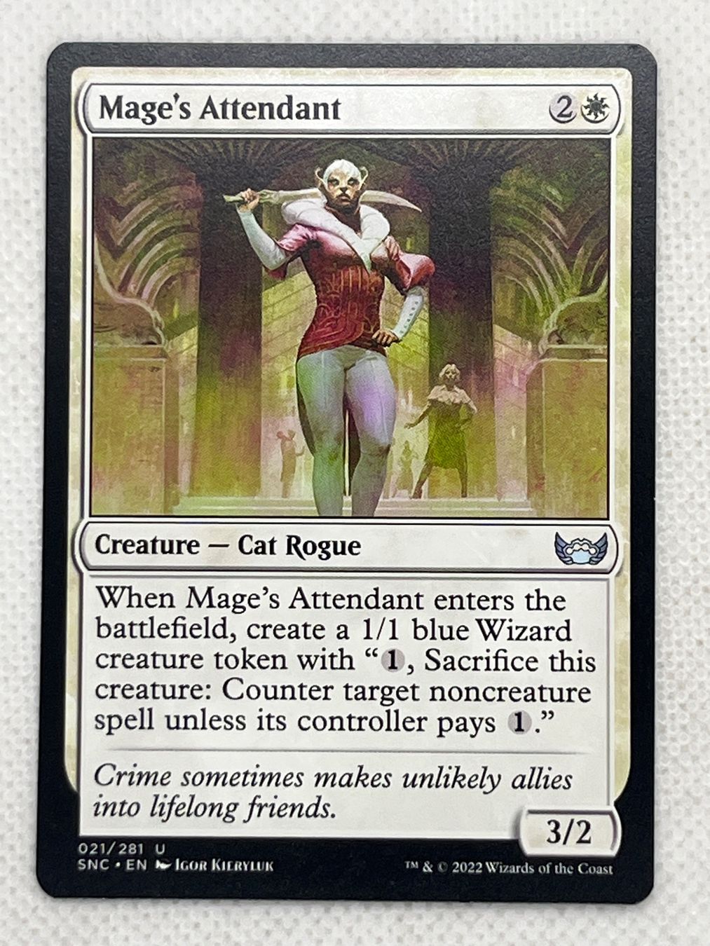 Magic The Gathering Carte collezionabili: Mage's Attendant Magic: The Gathering Karte – Usato da Hinterkappelen venduto da Kim1992