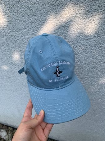 Cap California Academy of Sciences hellblau verstellbar neu
