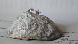 Metallfreie Ohrringe aus Kunststoff ⭐✨ (Hypoallergen)