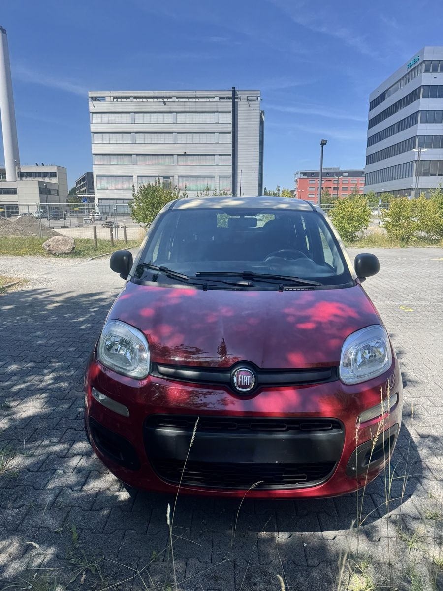Fiat Automobili: Fiat Panda 1.2 mit Backoffen – Usato da Zug venduto da c.sicardi 1