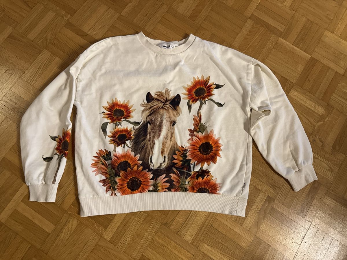 Maglioni & Felpe: Horse Theme Sweatshirt 164/S – Usato da Fällanden venduto da emilyeheim
