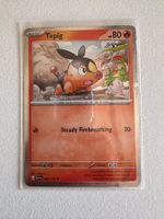 Tepig ASC EN 029/217 Cosmos Holo