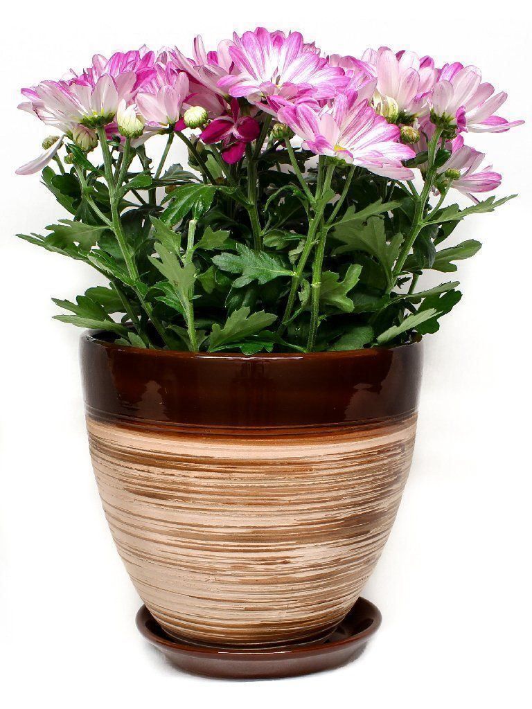 Vasi per fiori: Blumentopf/Pflanzentopf/Tontopf/Balkon – Nuovo e nell'imballaggio originale da Zürich venduto da StellaKar 2