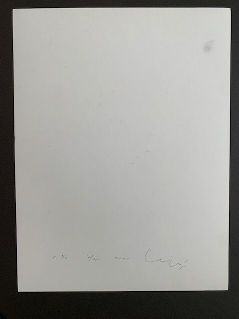 Grafiken & Lithographien: Ludek Vojtechovsky, Tschechien,  signiert nummeriert – Gebraucht aus Zürich von Aerdna_133 1