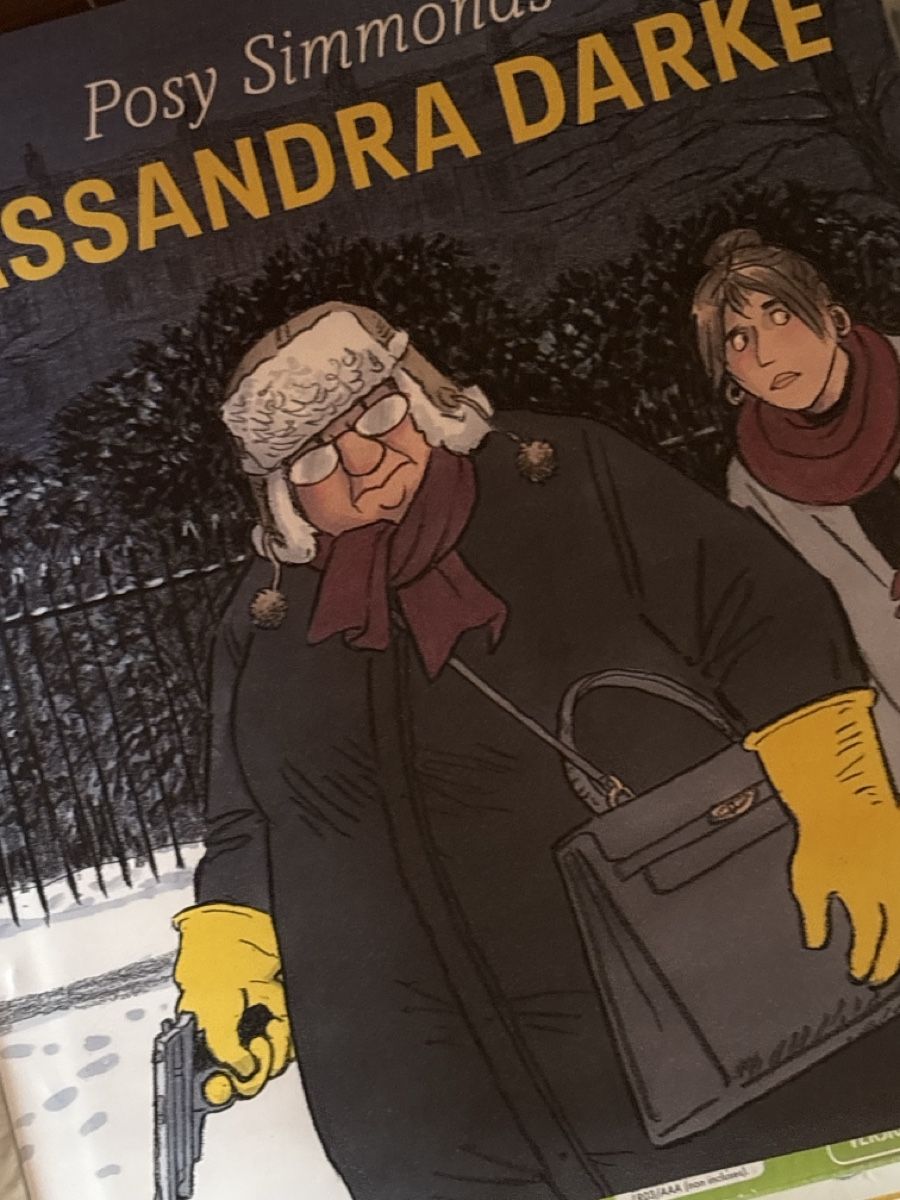 Fumetti: Bd Livre en Français Cassandra Darke pose Simmonds – Nuovo (secondo la descrizione) da Ste- Croix venduto da boutondor64 4