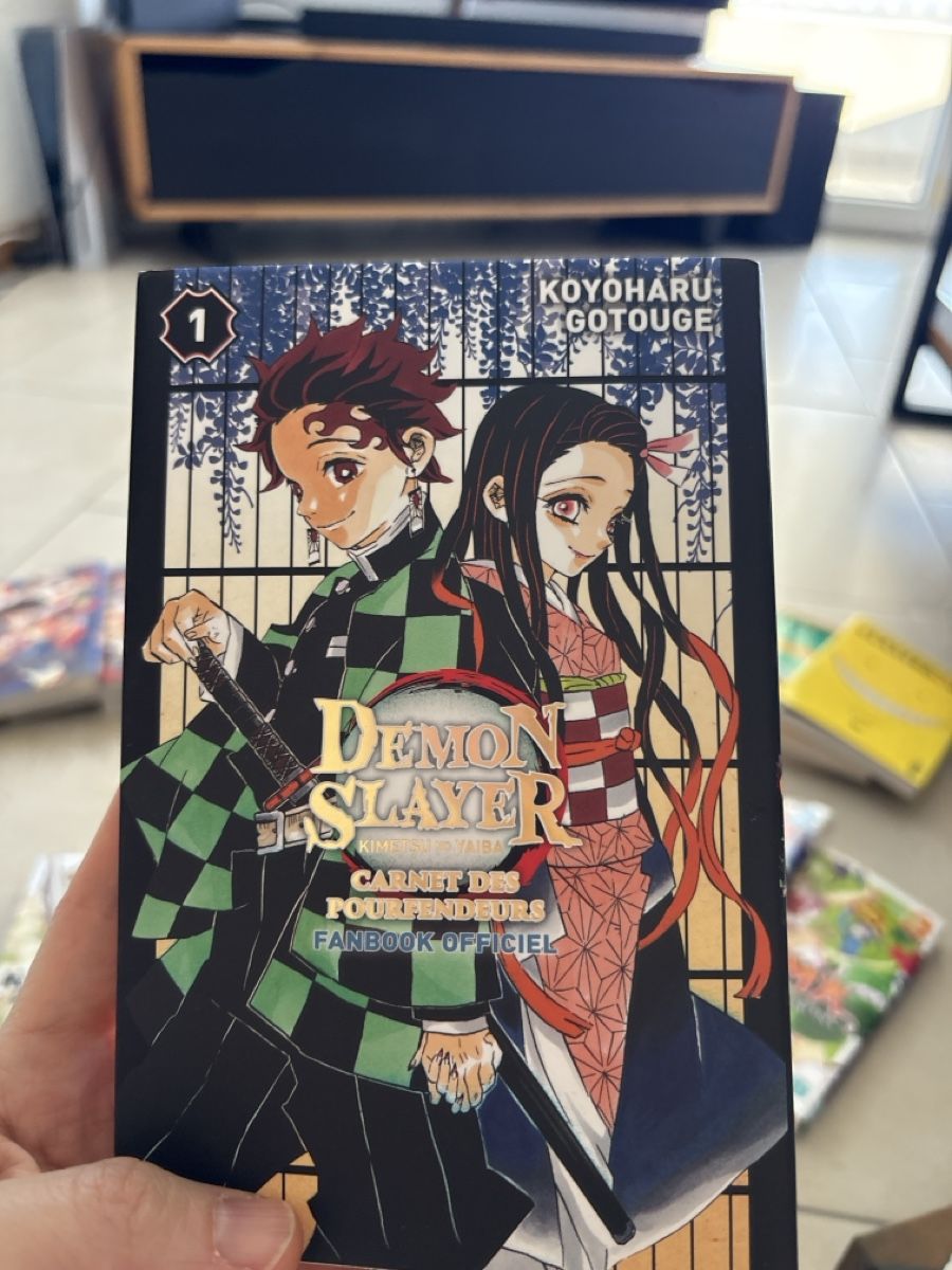 Comics: Demon slayer  – Neu (gemäss Beschreibung) aus Chez-le-Bart von lis_6njv 2