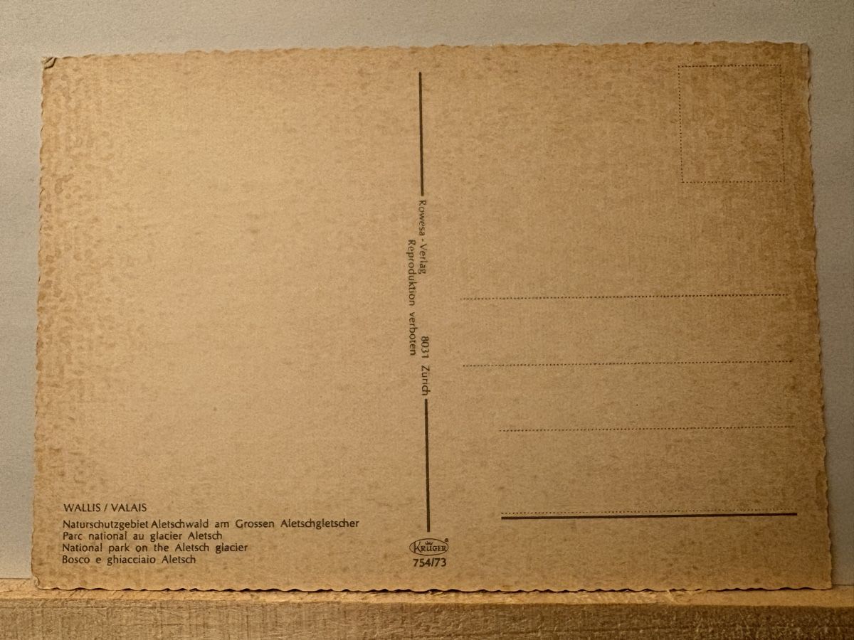 Cartoline postali: AK von Aletschgletscher – Usato da Rümlang venduto da Brieftaube1 1