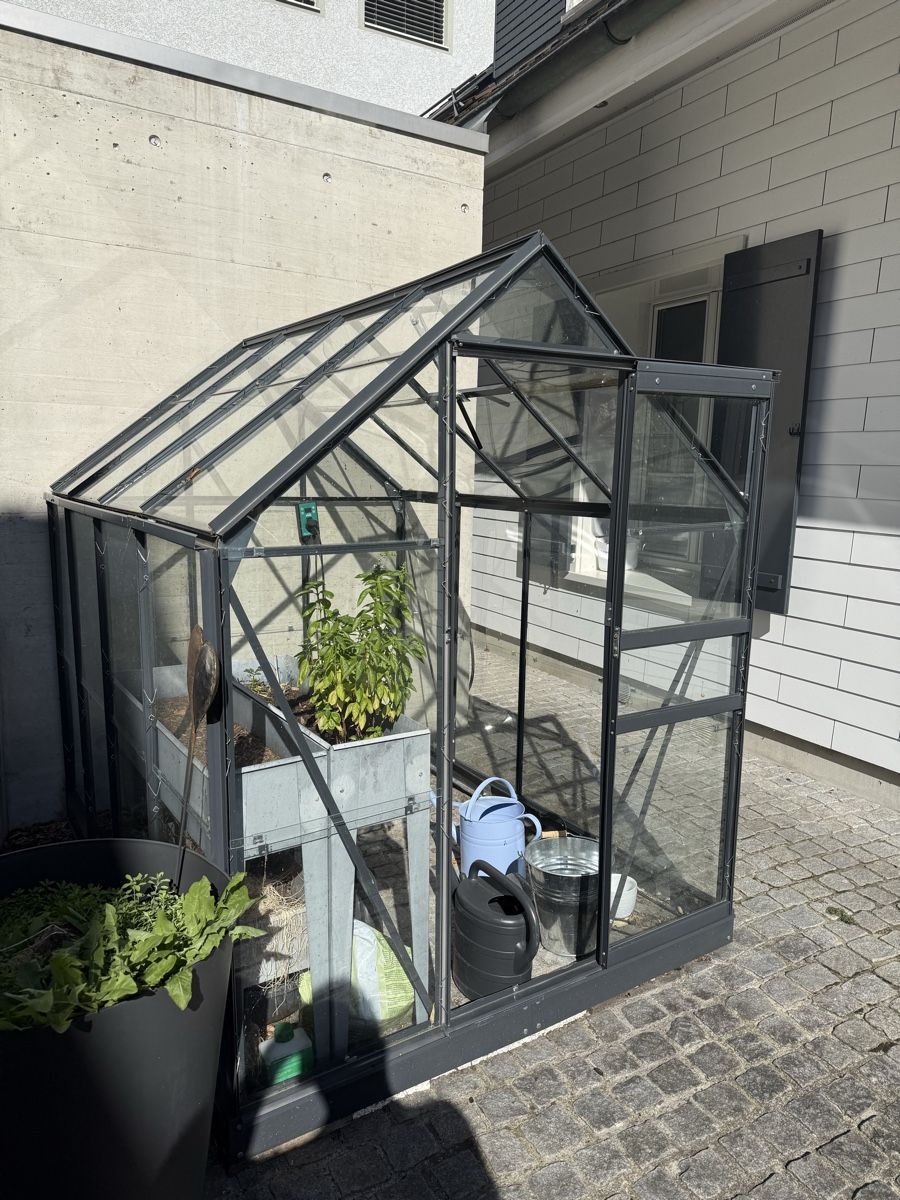 Casette da giardino & serre: Gewächshaus Glas – Usato da Thal venduto da Strigelgass 2