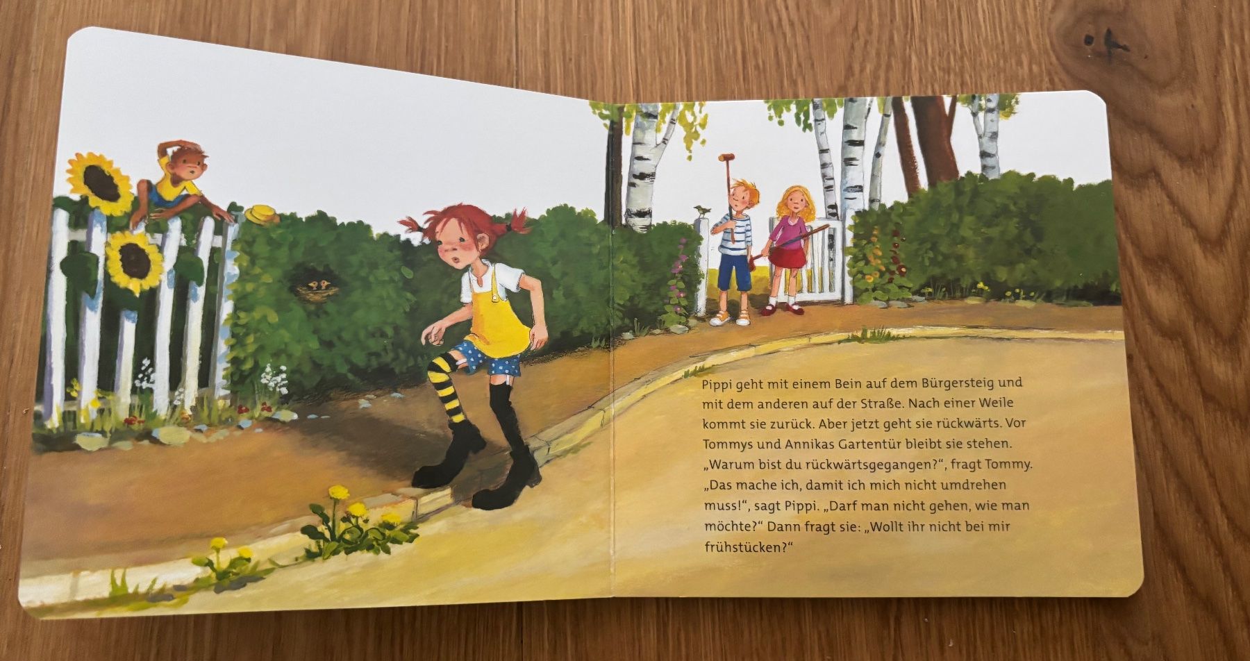 Libri: Pippi Langstrumpf – Usato da Jegenstorf venduto da Annina0506 3